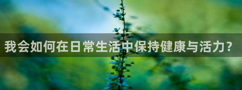 我会如何在日常生活中保持健康与活力？