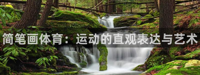 简笔画体育：运动的直观表达与艺术
