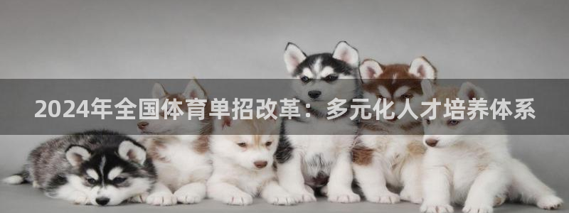 2024年全国体育单招改革：多元化人才培养体系