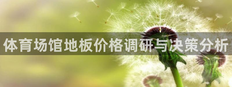 体育场馆地板价格调研与决策分析