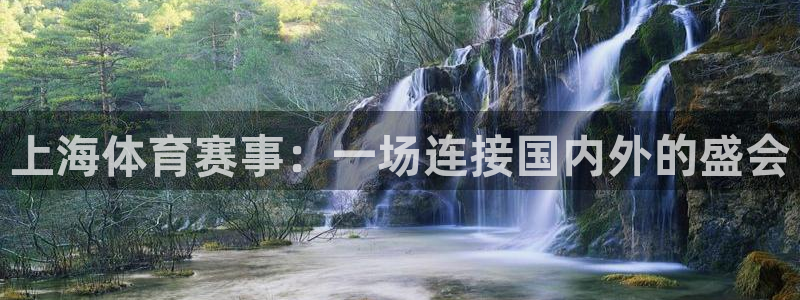 上海体育赛事：一场连接国内外的盛会