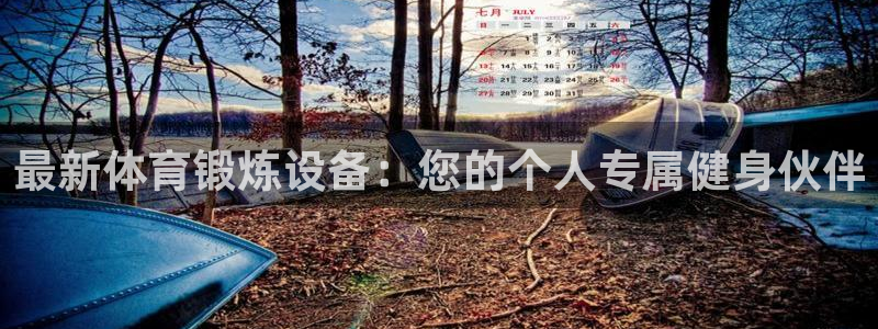 最新体育锻炼设备：您的个人专属健身伙伴